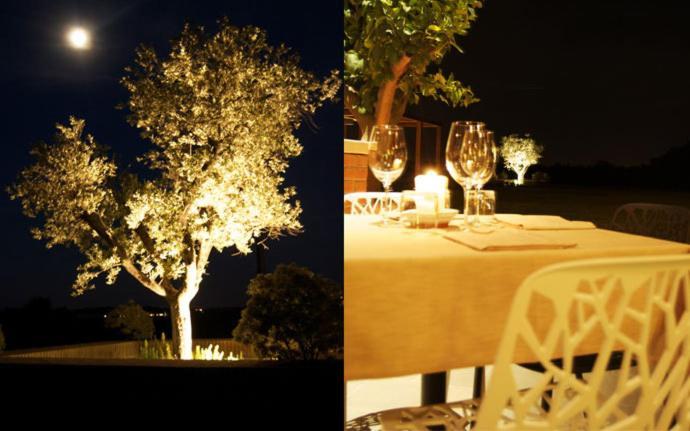 Agriturismo Colombarino Βίλα Ντεζεντσάνο ντελ Γκάρντα Εξωτερικό φωτογραφία
