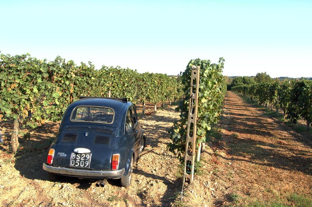 Agriturismo Colombarino Βίλα Ντεζεντσάνο ντελ Γκάρντα Εξωτερικό φωτογραφία